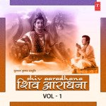 Shiv Aaradhana Vol-1 - Sammohan Song Download
